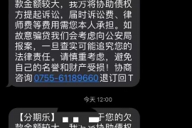 嘉黎嘉黎的要账公司在催收过程中的策略和技巧有哪些？
